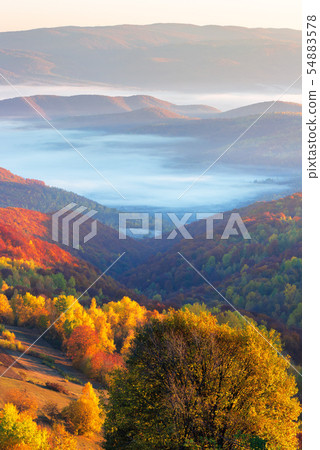 beautiful sunrise in mountains beautiful sunrise in mountains 54883578