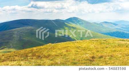 wonderful summer landscape in mountain wonderful summer landscape in mountain 54883598