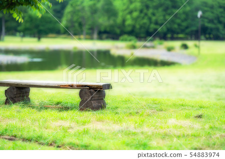 東京初夏水本公園 54883974