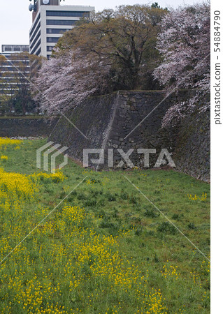 [Aichi Prefecture, Japan's 100 Great Castles] Nagoya Castle, Ishigaki 54884790