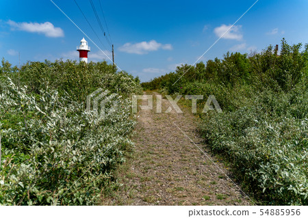 Ishikari Lighthouse 54885956