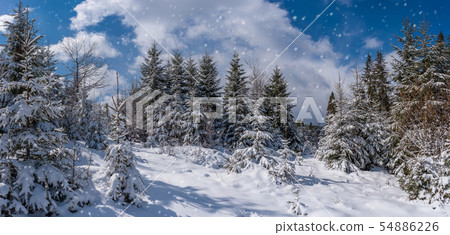 winter landscape with snowfall in forest 54886226
