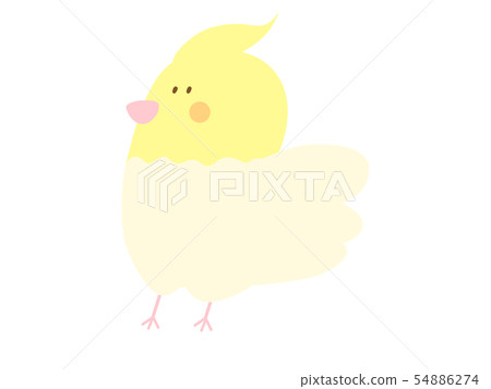 Flappy cockatiel(Lucino) Flappy cockatiel(Lucino) 54886274