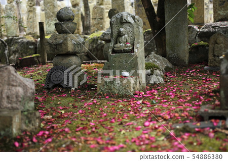 Five hundred 54886380