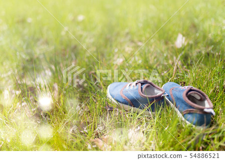 Image photo 54886521