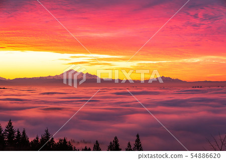 morning glow and Mt. Baker 54886620
