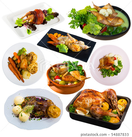 Set of dishes from fowl 54887833