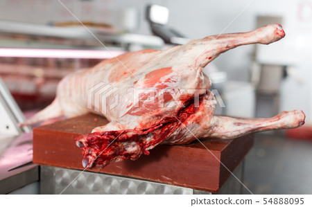 Lamb carcase in butcher shop Lamb carcase in butcher shop 54888095