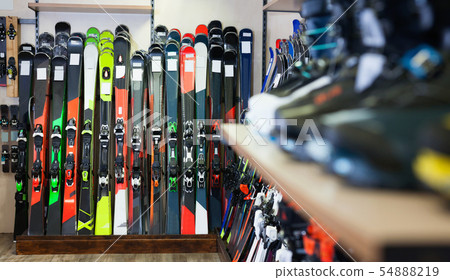 Variety of alpine skis for sale in modern sports equipment store 54888219