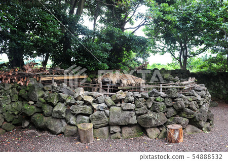 濟州島主義 54888532