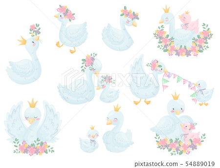 Set of image swans. Vector illustration on white background. Set of image swans. Vector illustration on white background. 54889019