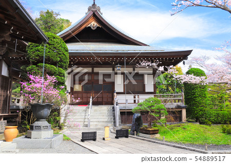 Ancient pavilions and flowering sakura, Hokokuji 54889517
