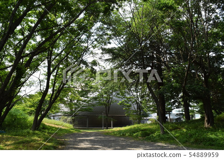 Circular building seen in the woods 54889959