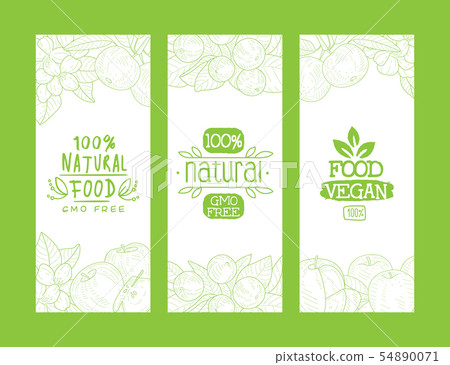 Natural Organic Food, Gmo Free, Vegan Food 100 Percent Banners Templates Set, Green Hand Drawn 54890071