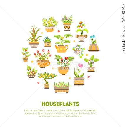 Houseplants Banner Template, Blooming House Plants in Flower Pots Vector Illustration Houseplants Banner Template, Blooming House Plants in Flower Pots Vector Illustration 54890149