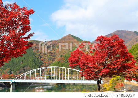秋季葉子Chononozawanoen的Tanzawa湖 54890357