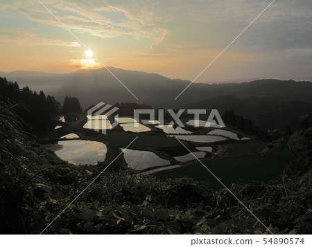 Morning scenery of terraced rice fields in Yamakoshi Village, Niigata Prefecture 54890574