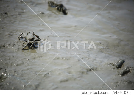 潮灘體驗，鴨肉，海鮮 54891021