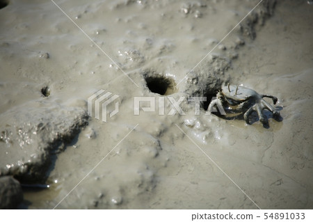 潮灘體驗，鴨肉，海鮮 54891033