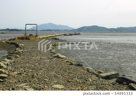 海洋生態系統 54891333