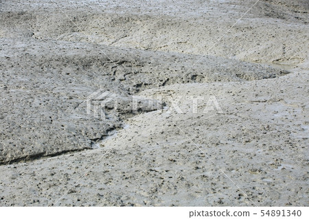 海洋生態系統 54891340