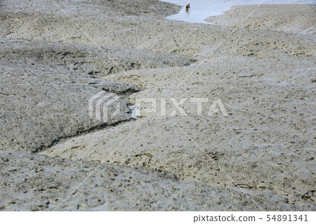 海洋生態系統 54891341