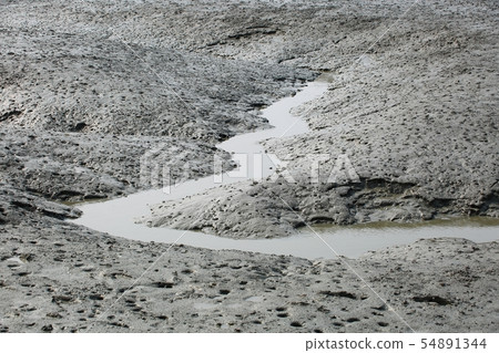 海洋生態系統 54891344