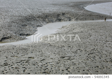 海洋生態系統 54891345