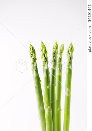 Asparagus  54891448