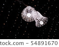 照明＃28 54891670