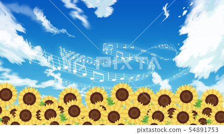 Sunflower field Sunflower field 54891753
