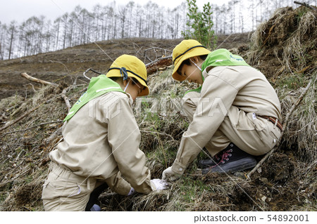 Green boy's group to plant trees Green boy's group to plant trees 54892001