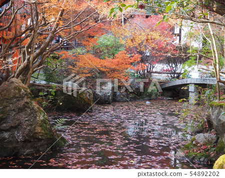 日本秋葉 日本秋葉 54892202