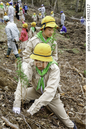 Green boy's group to plant trees Green boy's group to plant trees 54892217