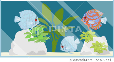 鐵餅水族館1 54892331