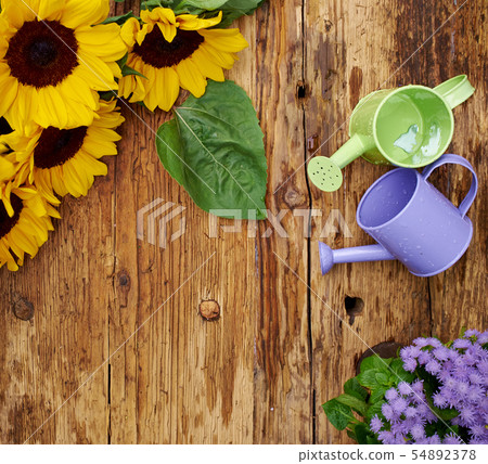 Outdoor gardening tools on old wood table Outdoor gardening tools on old wood table 54892378