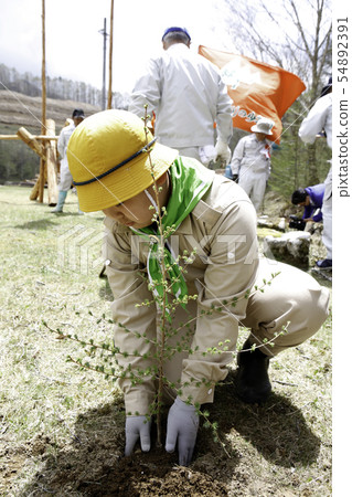 Green boy's group to plant trees 54892391