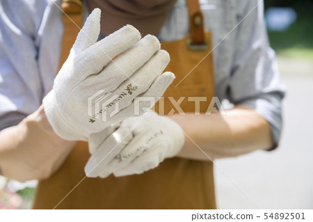 拿著從事園藝的手套的男性手 拿著從事園藝的手套的男性手 54892501