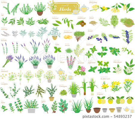 一套草藥1號 54893237