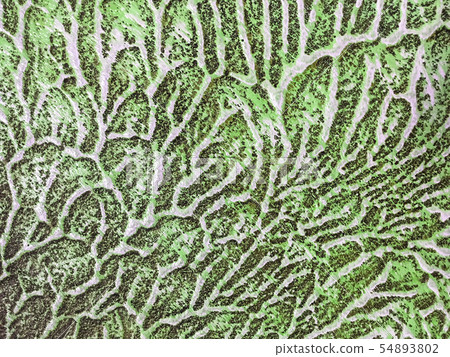Abstract art background green and white color. Abstract art background green and white color. 54893802