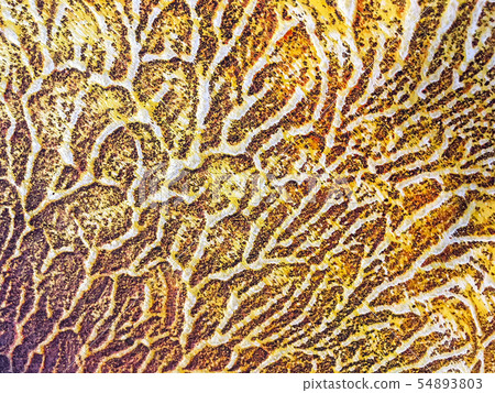 Abstract art background golden and yellow color. Abstract art background golden and yellow color. 54893803