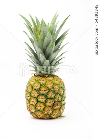 pineapple  54893848