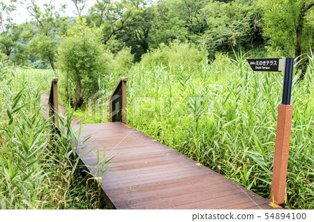 雨季(夏季) 雨季(夏季) 54894100