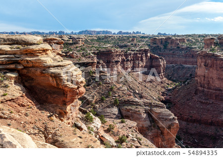 The Needles area of Canyonlands 54894335