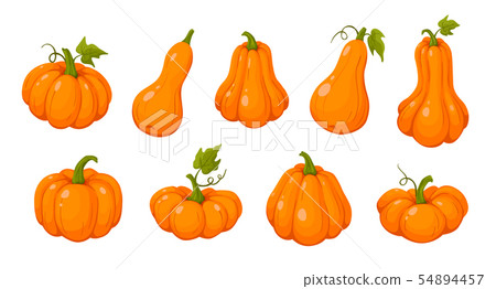 coloful pumpkins set vector illustration 54894457