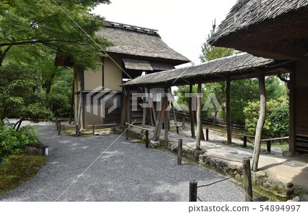 Kodaiji Temple Umbrella and Shiguremu 54894997