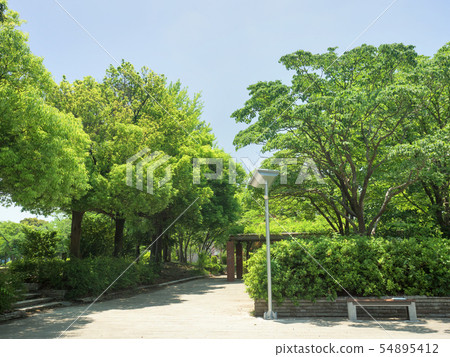 Chiba Prefecture Nanryuyama Central Park 54895412