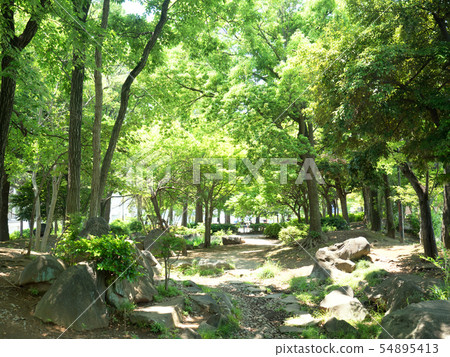 Chiba Prefecture Nanryuyama Central Park Chiba Prefecture Nanryuyama Central Park 54895413