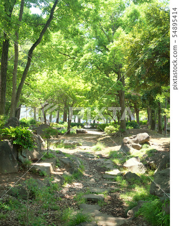 Chiba Prefecture Nanryuyama Central Park Chiba Prefecture Nanryuyama Central Park 54895414