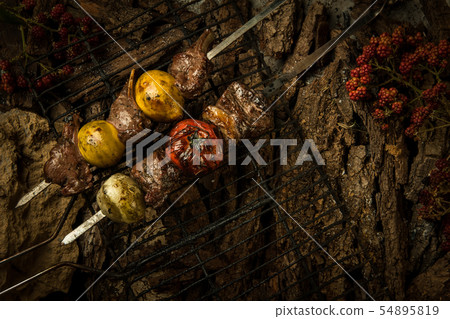 dish on a tree bark dish on a tree bark 54895819